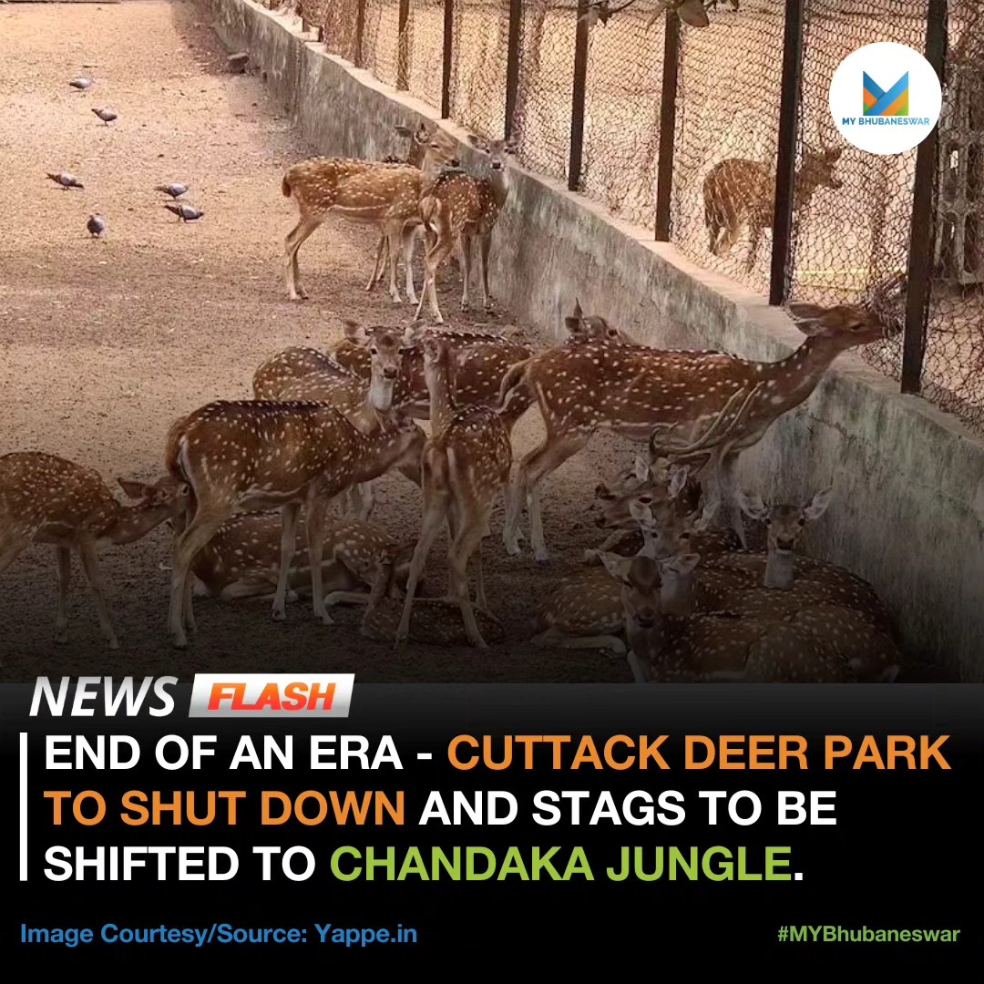 END OF AN ERA – CUTTACK DEER PARK TO SHUT DOWN AND STAGS TO BE SHIFTED TO CHANDAKA JUNGLE