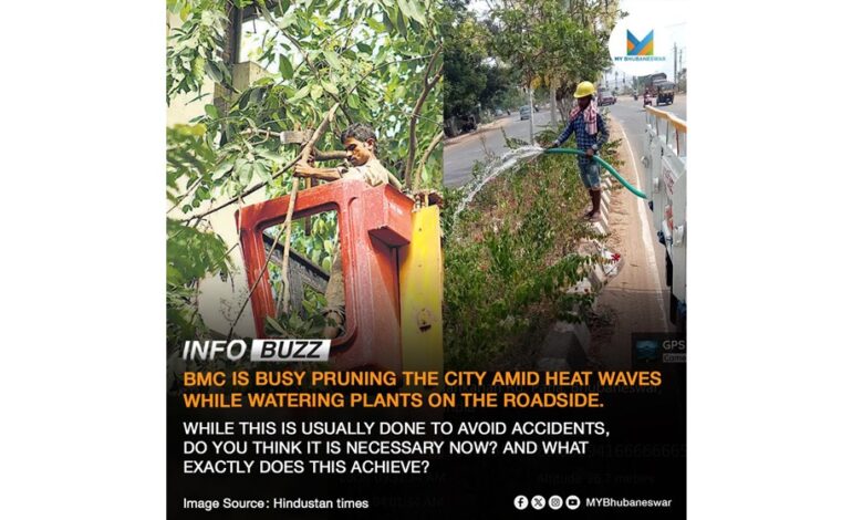 BMC IS BUSY PRUNING THE CITY AMID HEAT WAVES WHILE WATERING PLANTS ON THE ROADSIDE.