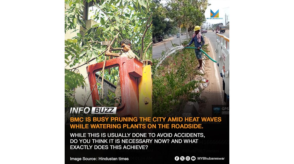 BMC IS BUSY PRUNING THE CITY AMID HEAT WAVES WHILE WATERING PLANTS ON THE ROADSIDE.