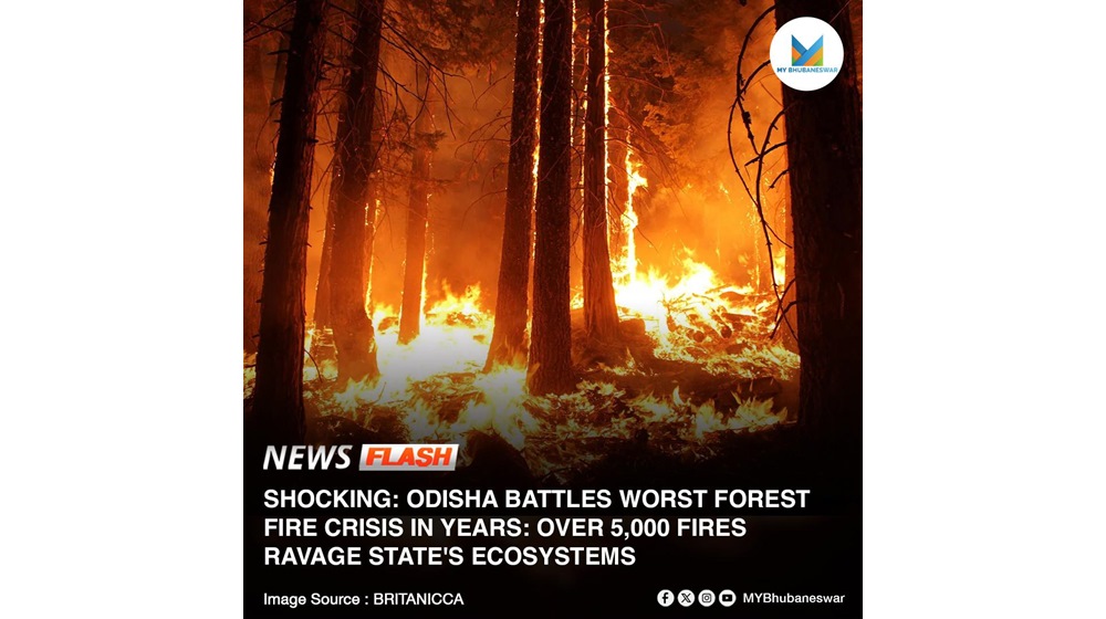 ODISHA BATTLES WORST FOREST FIRE CRISIS IN YEARS: OVER 5,000 FIRES RAVAGE STATE’S ECOSYSTEMS